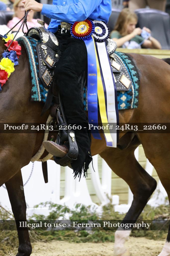 Proof 24R13_22660
