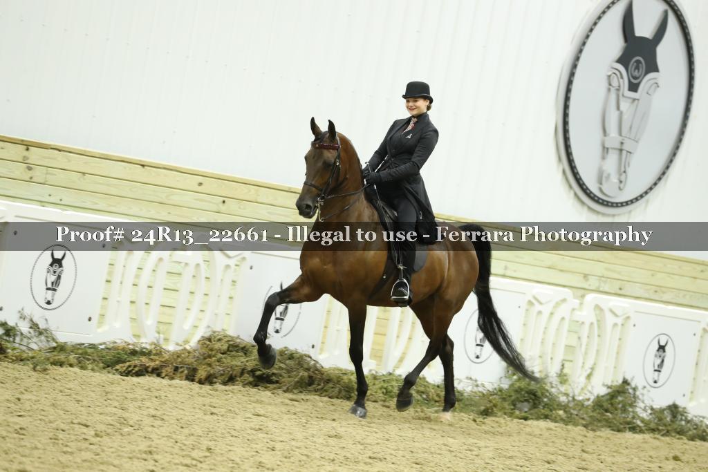 Proof 24R13_22661