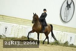 24R13_22661 proof