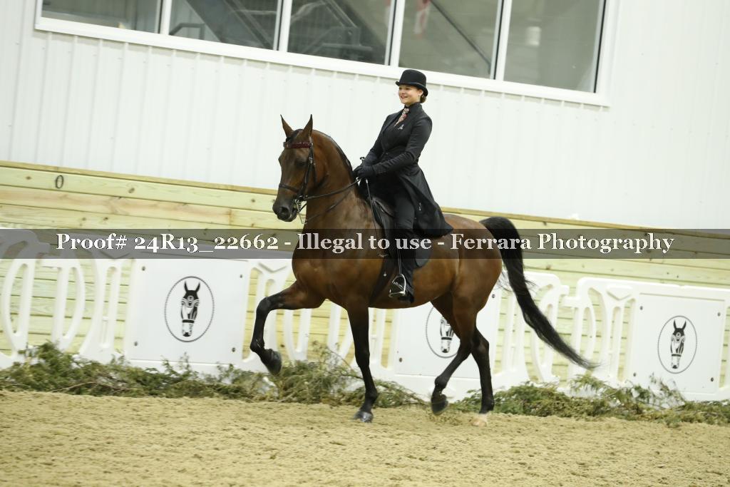 Proof 24R13_22662