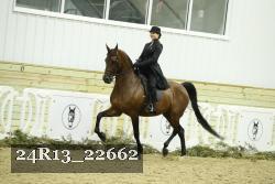 24R13_22662 proof