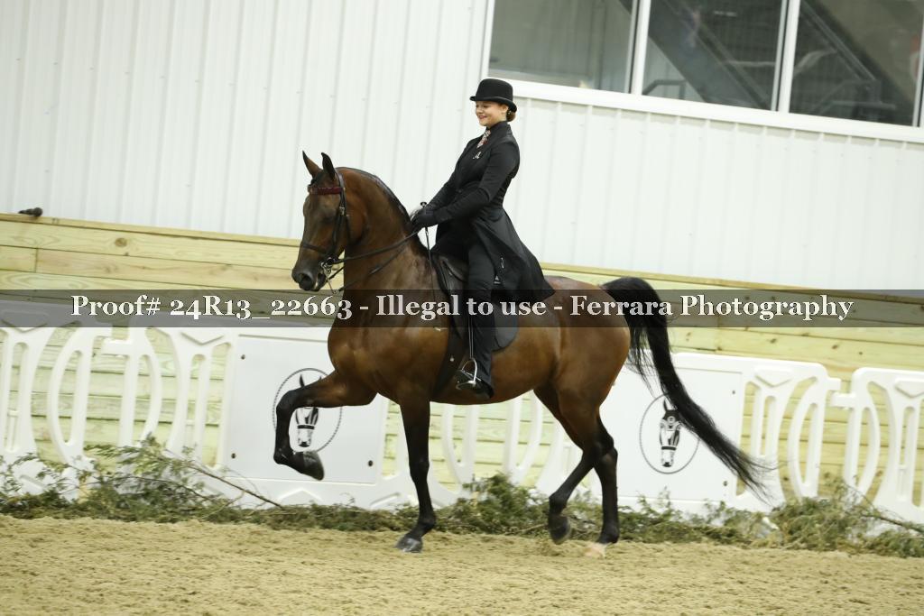 Proof 24R13_22663