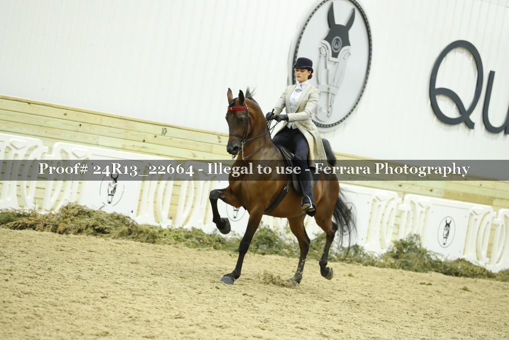 Proof 24R13_22664