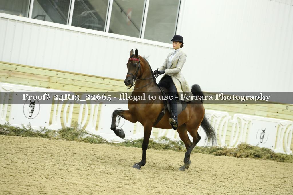 Proof 24R13_22665