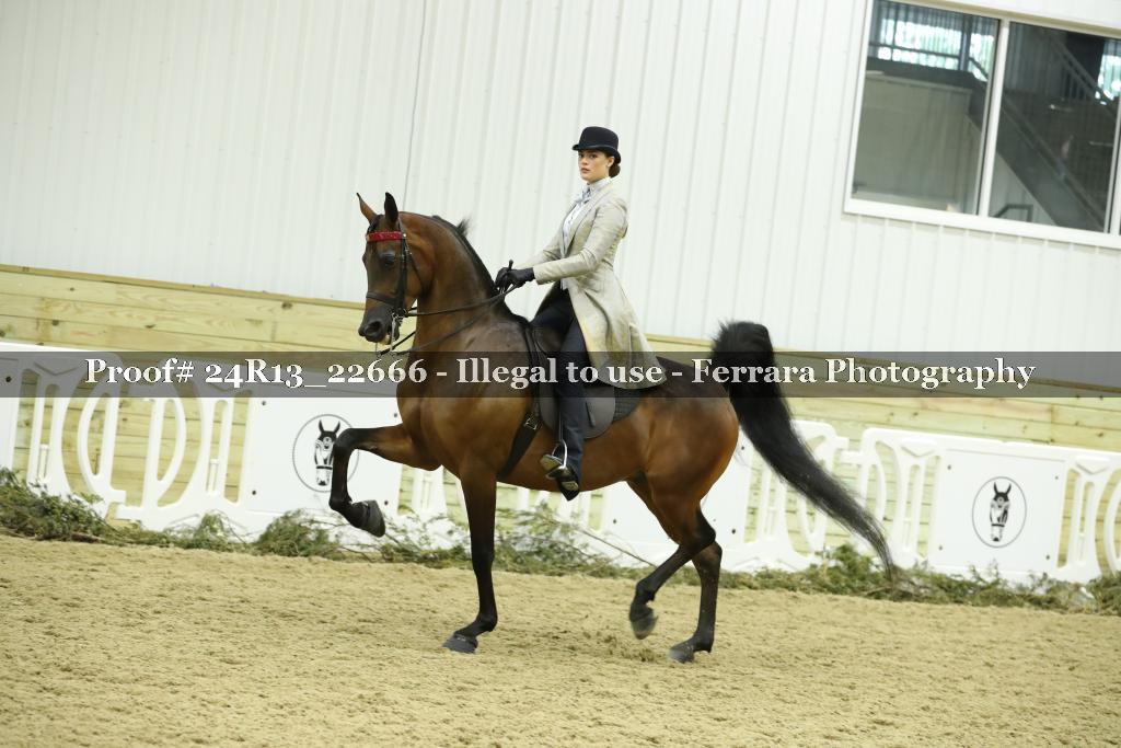 Proof 24R13_22666