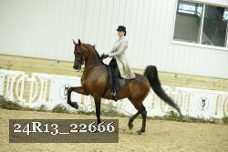 24R13_22666 proof