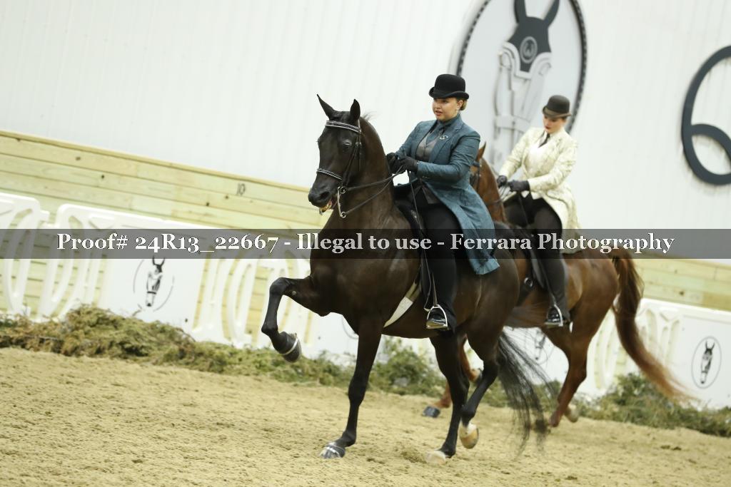 Proof 24R13_22667