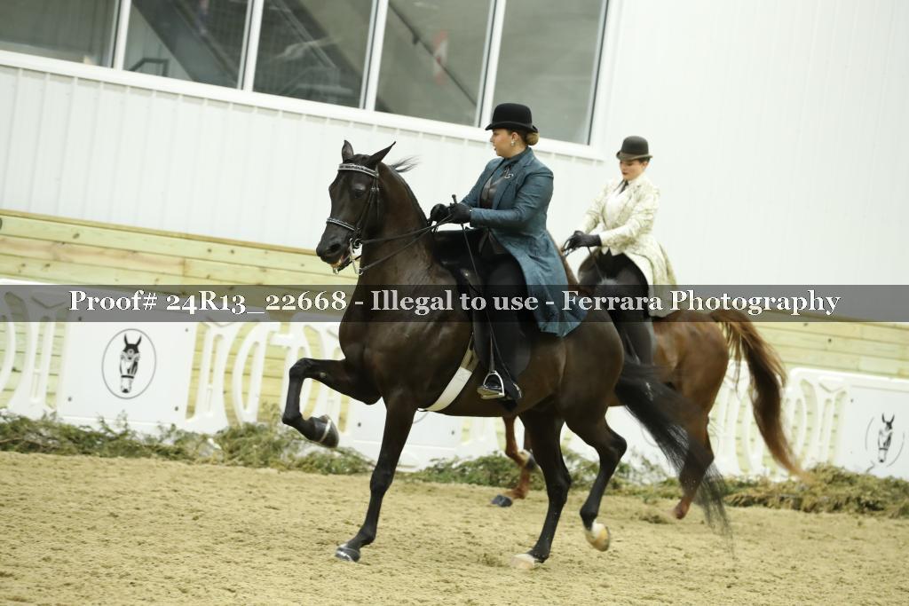 Proof 24R13_22668