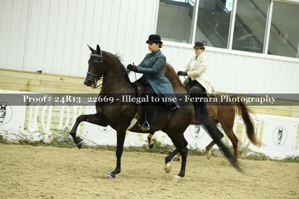 Proof 24R13_22669