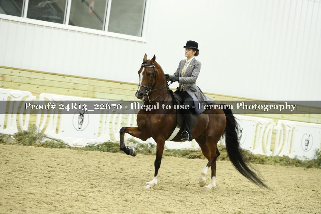 Proof 24R13_22670