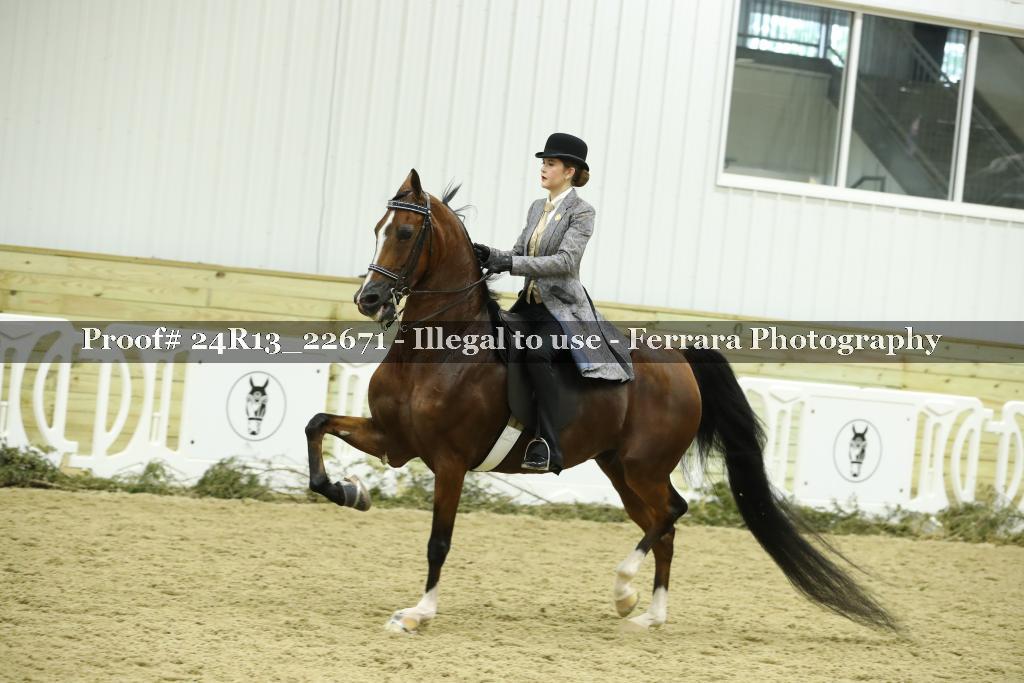 Proof 24R13_22671