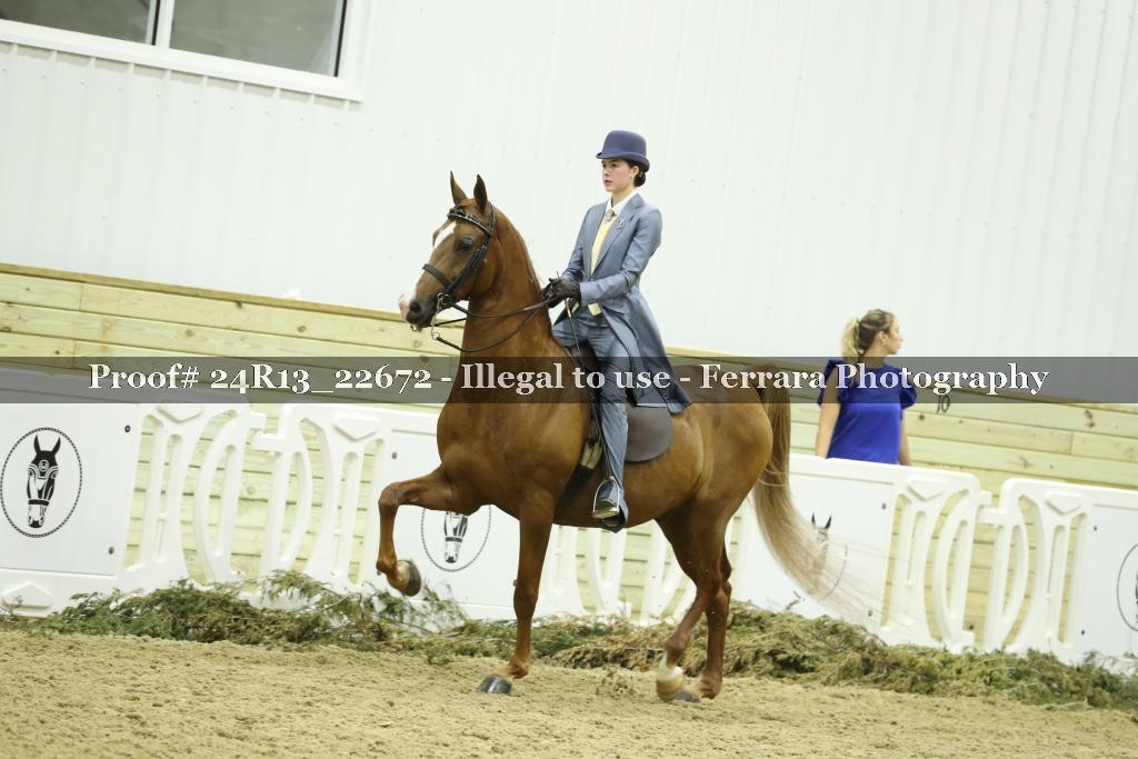 Proof 24R13_22672