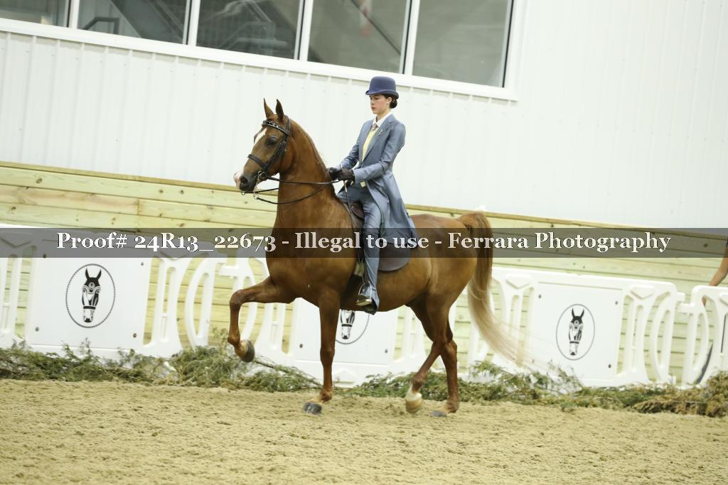 Proof 24R13_22673