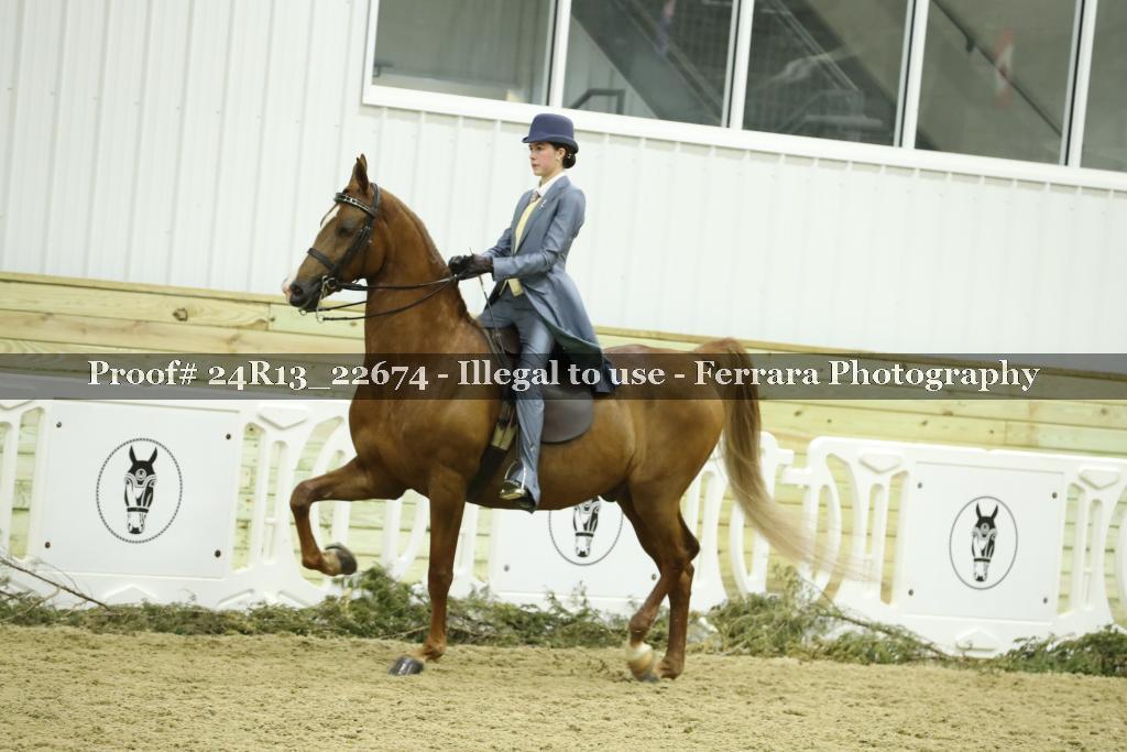 Proof 24R13_22674