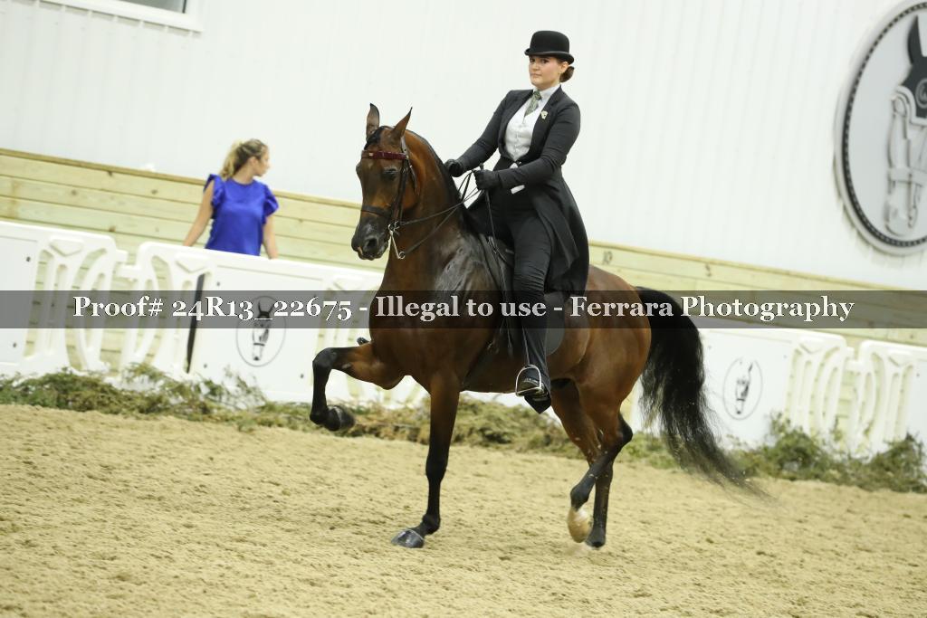 Proof 24R13_22675