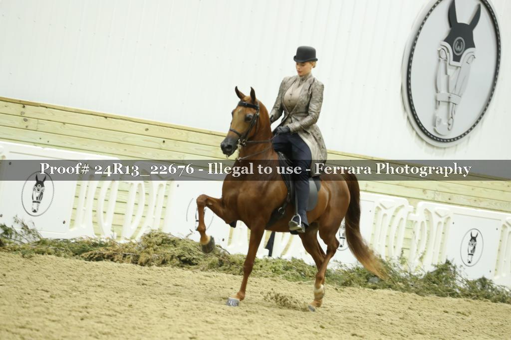 Proof 24R13_22676