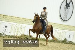 24R13_22676 proof