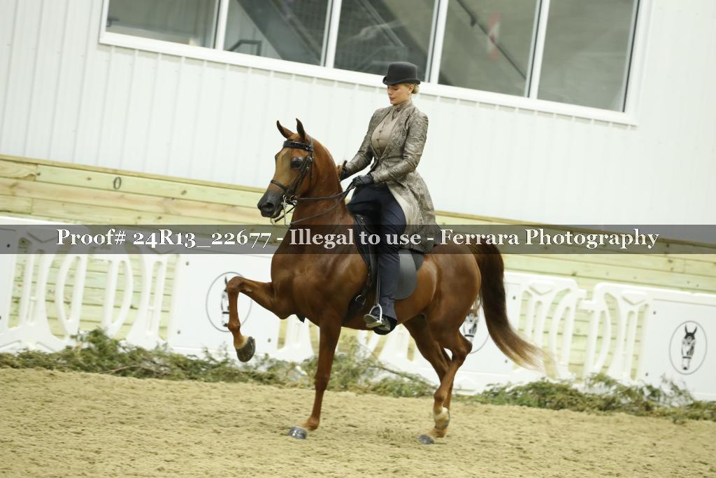 Proof 24R13_22677