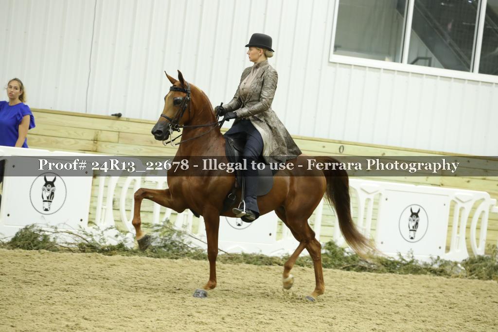 Proof 24R13_22678