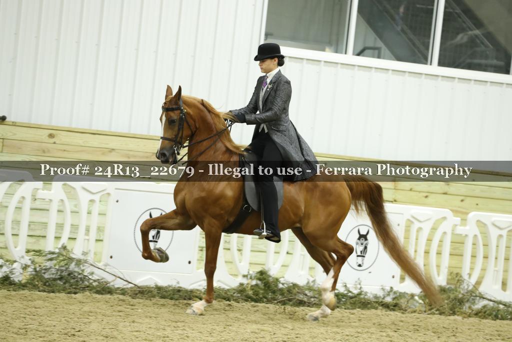 Proof 24R13_22679
