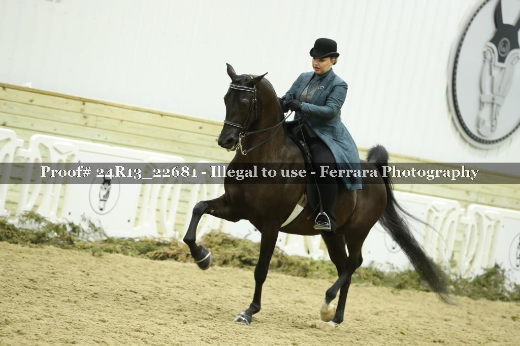 Proof 24R13_22681