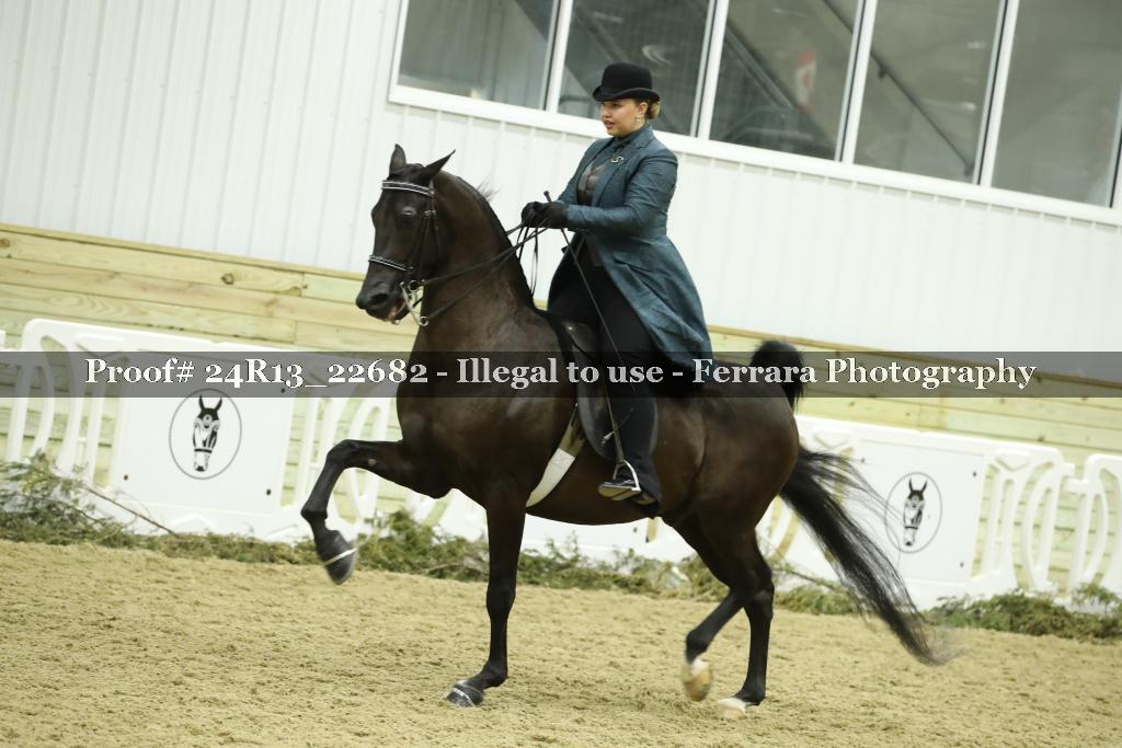 Proof 24R13_22682