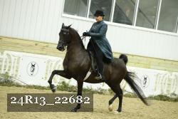 24R13_22682 proof