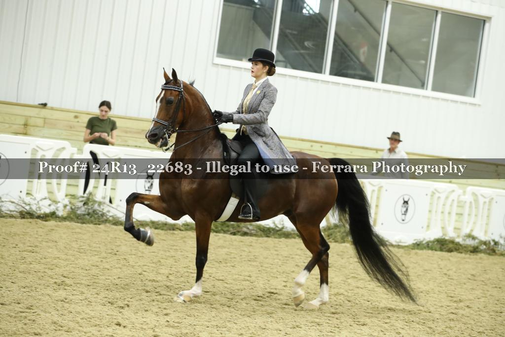 Proof 24R13_22683