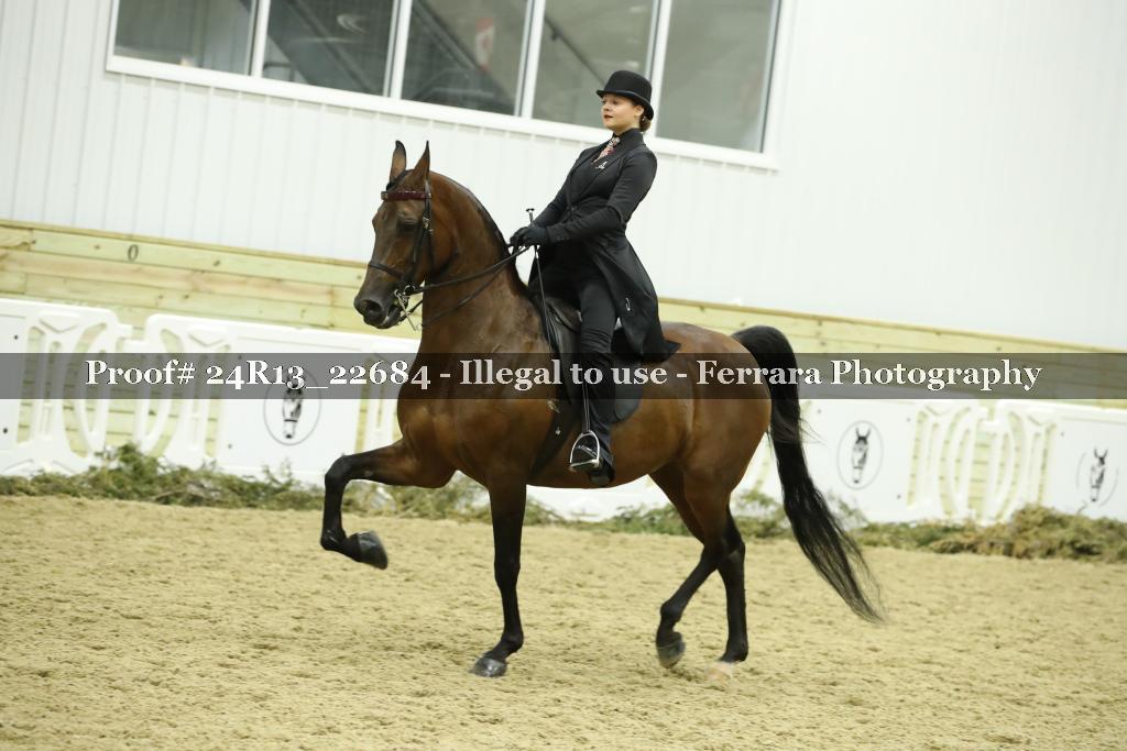 Proof 24R13_22684