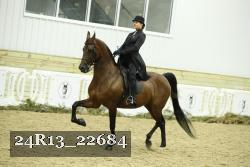 24R13_22684 proof