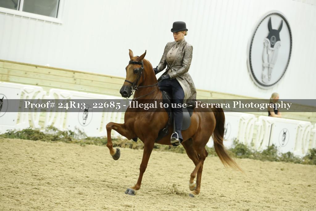 Proof 24R13_22685