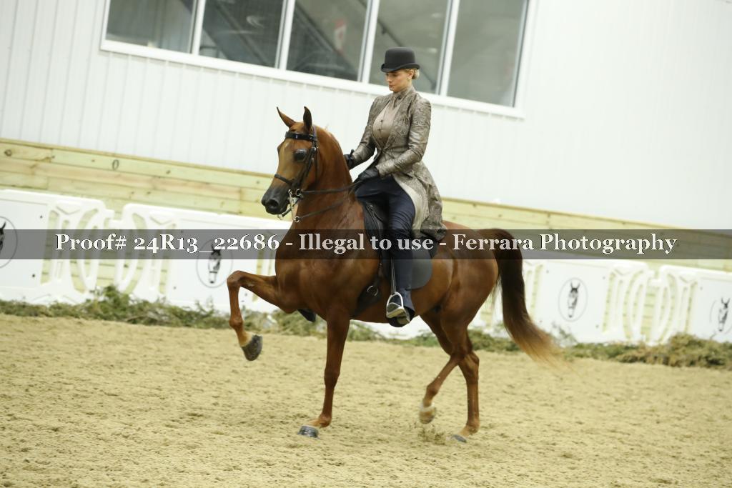 Proof 24R13_22686