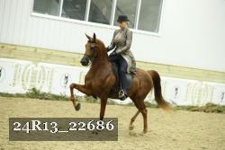 24R13_22686 proof