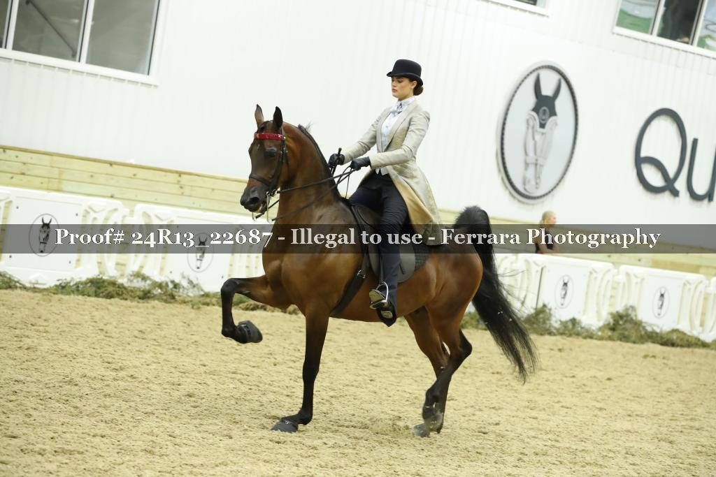 Proof 24R13_22687