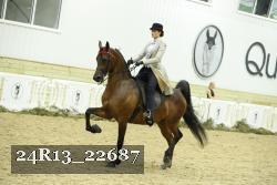 24R13_22687 proof