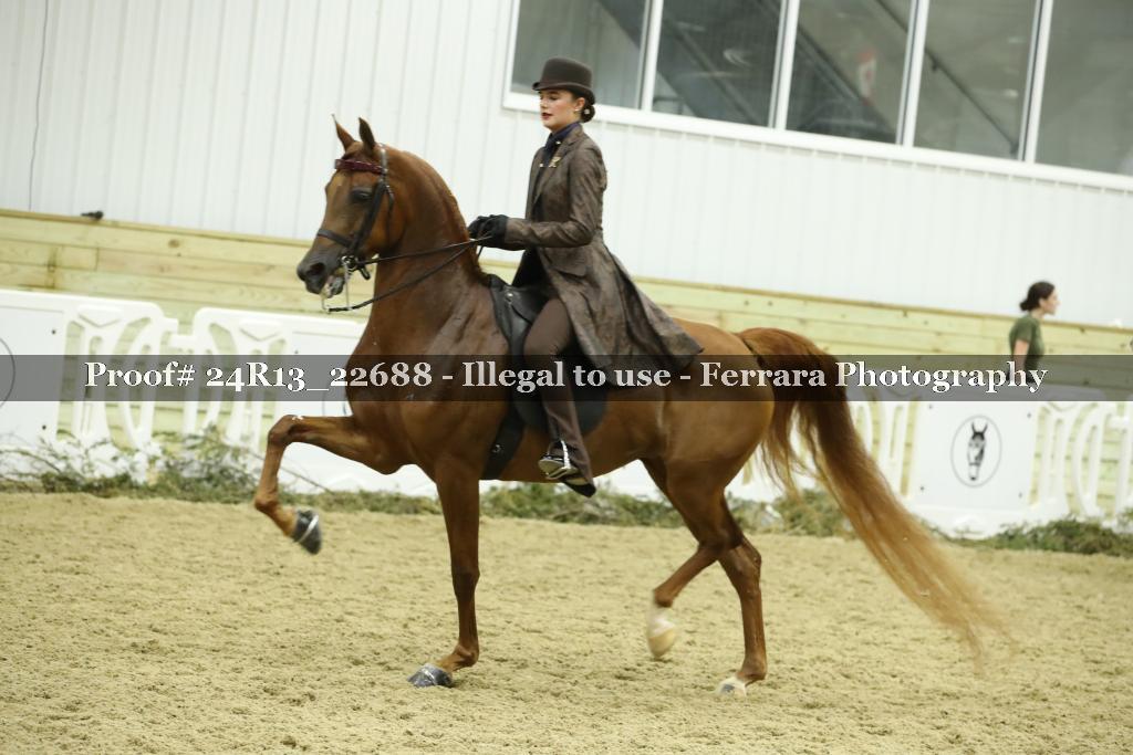 Proof 24R13_22688