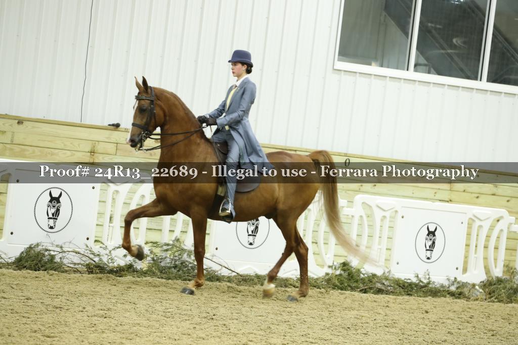 Proof 24R13_22689
