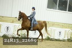 24R13_22689 proof