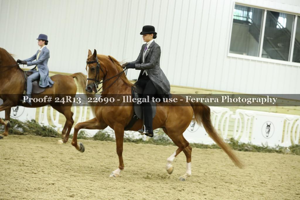 Proof 24R13_22690