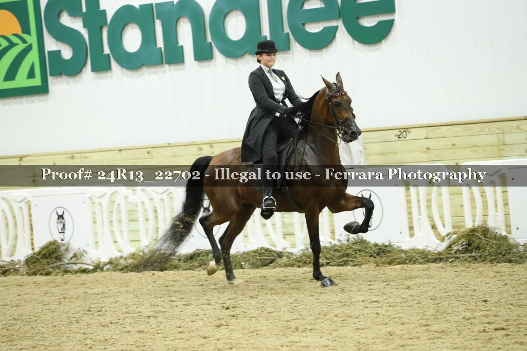 Proof 24R13_22702