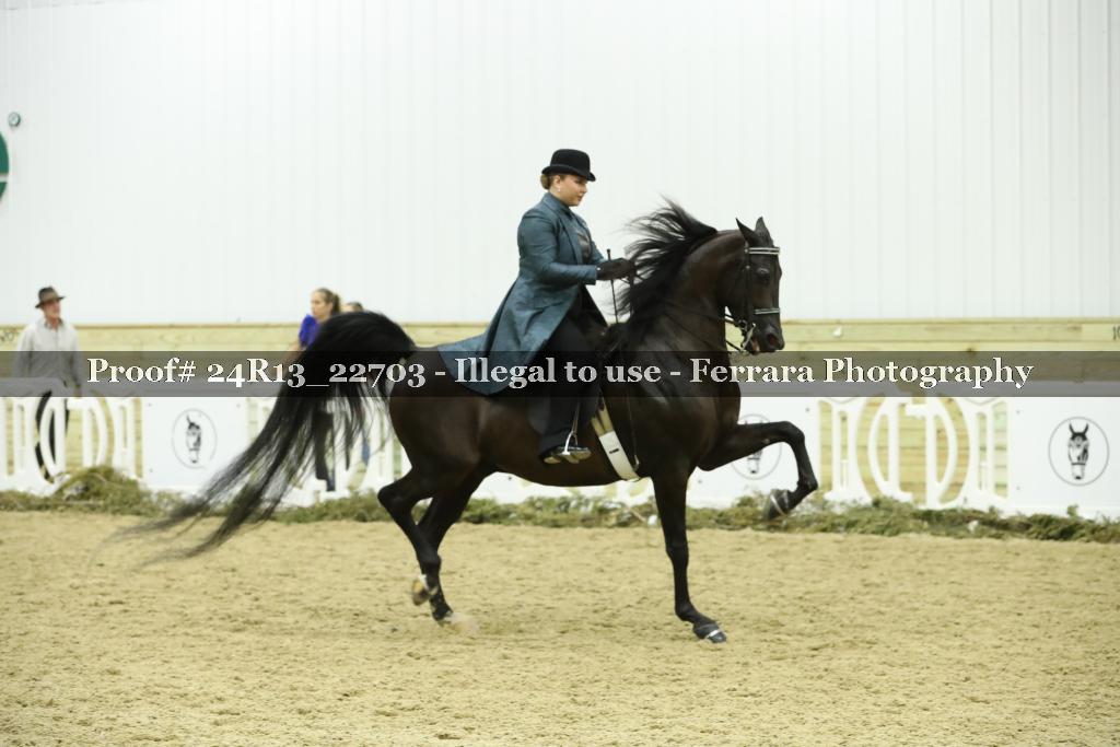 Proof 24R13_22703