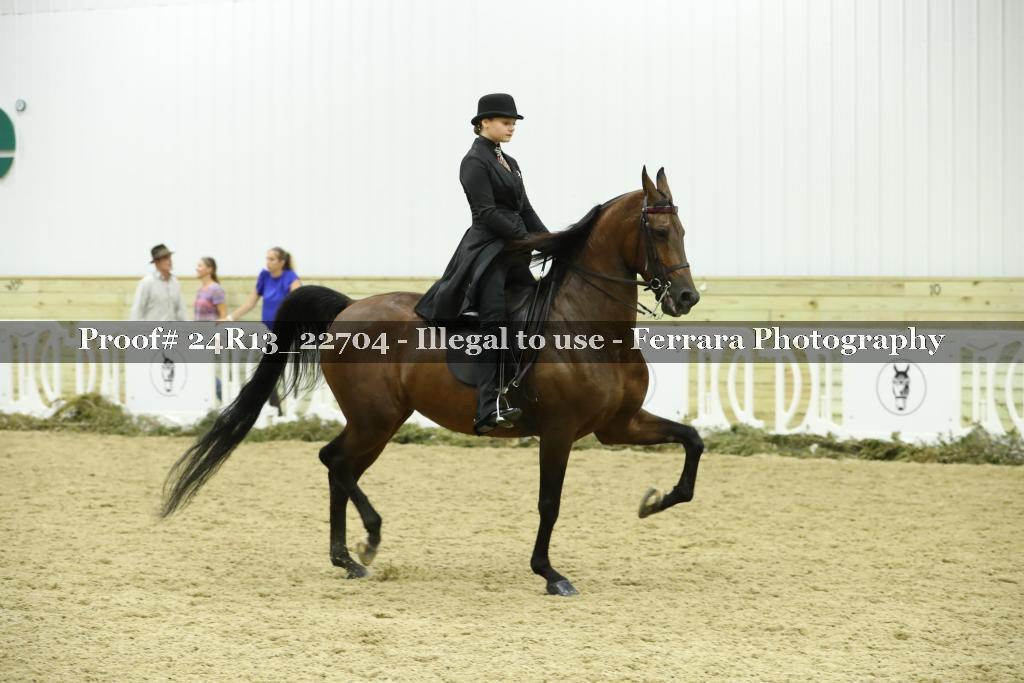 Proof 24R13_22704