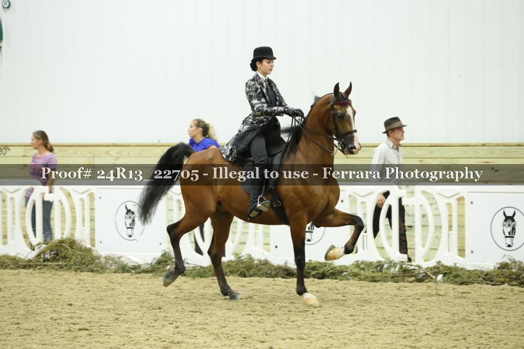 Proof 24R13_22705