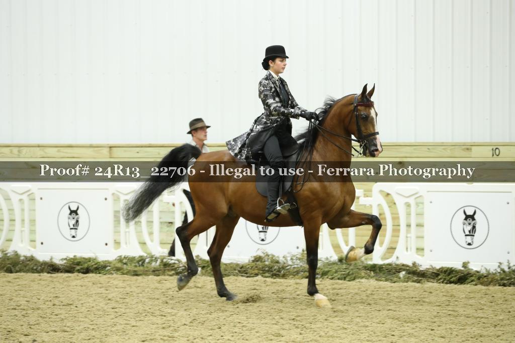 Proof 24R13_22706