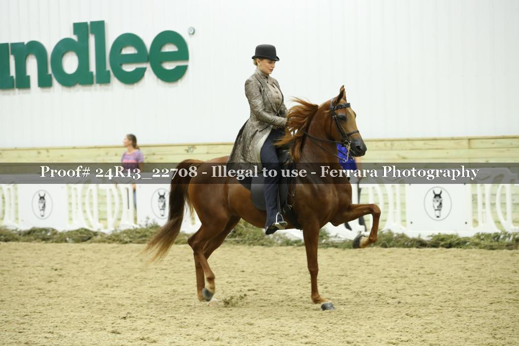 Proof 24R13_22708