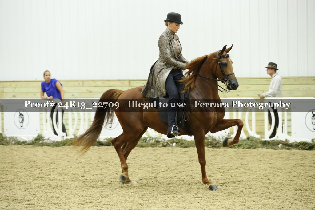Proof 24R13_22709