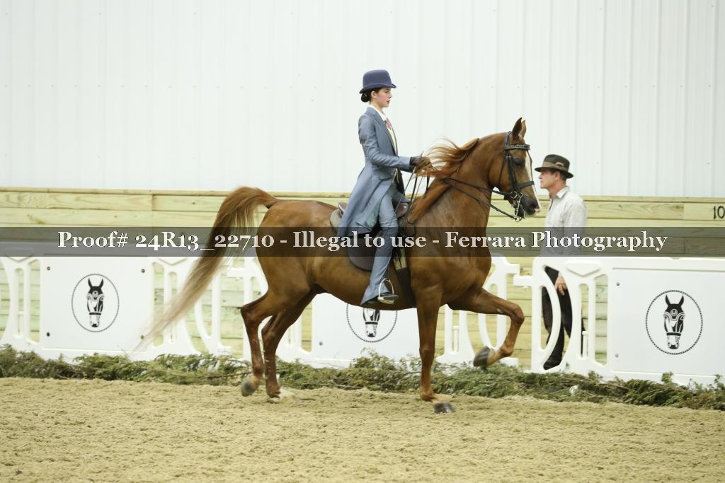 Proof 24R13_22710