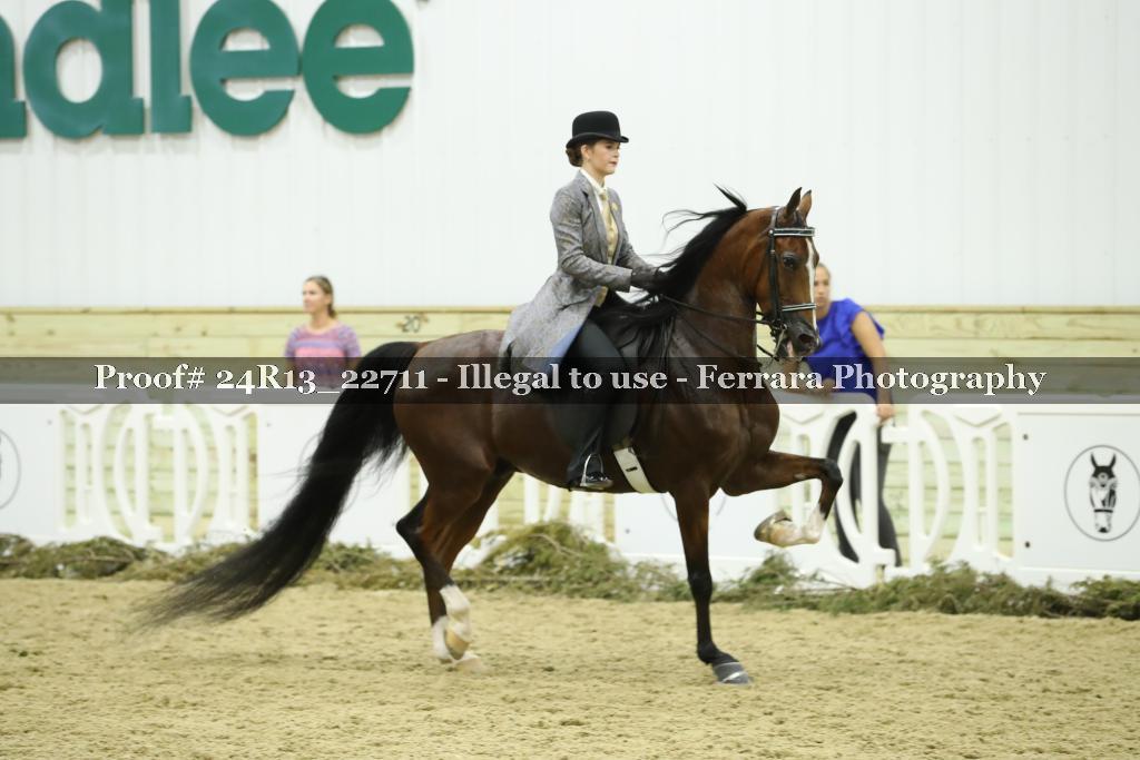 Proof 24R13_22711