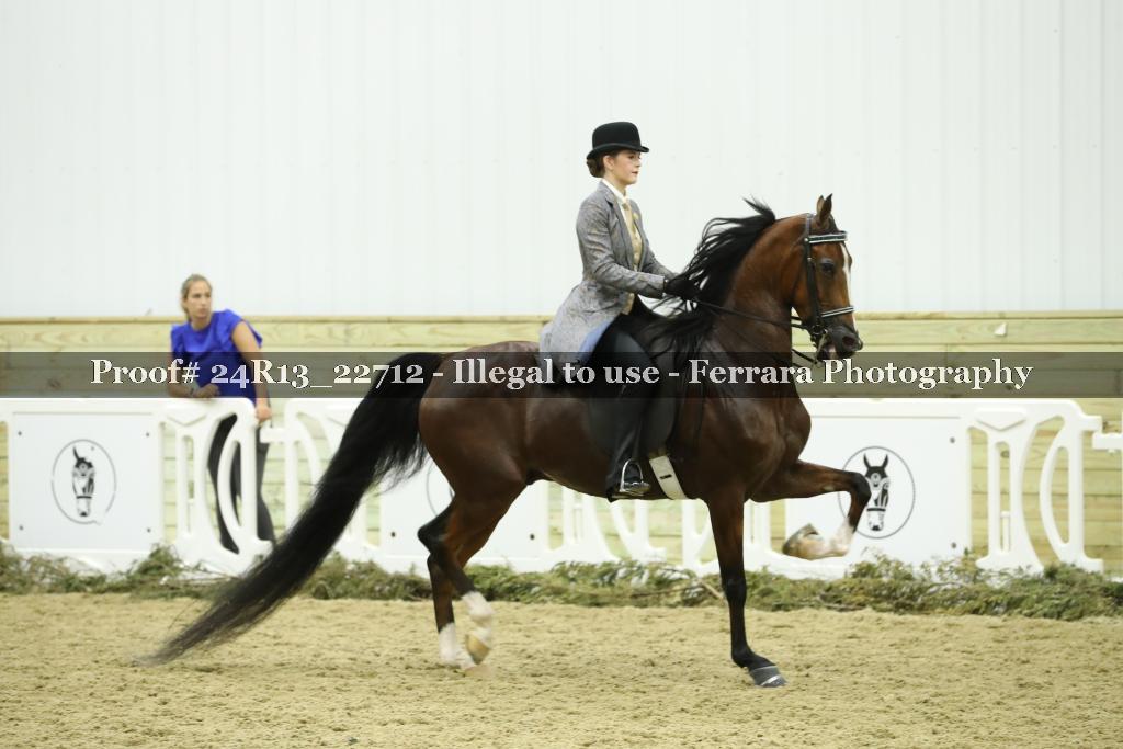 Proof 24R13_22712