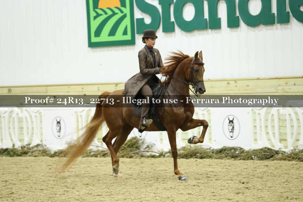 Proof 24R13_22713